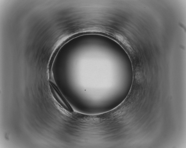 X0000098051372200804071456