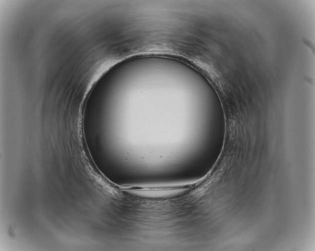 X0000098051374200804071456