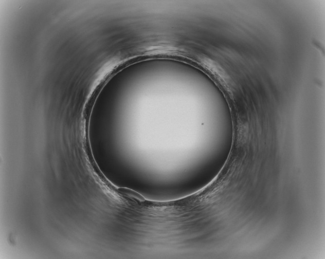 X0000098051376200804071456