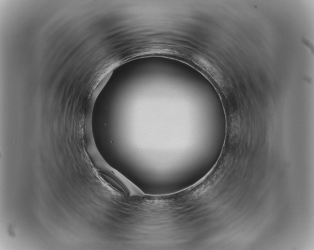 X0000098051377200804071456