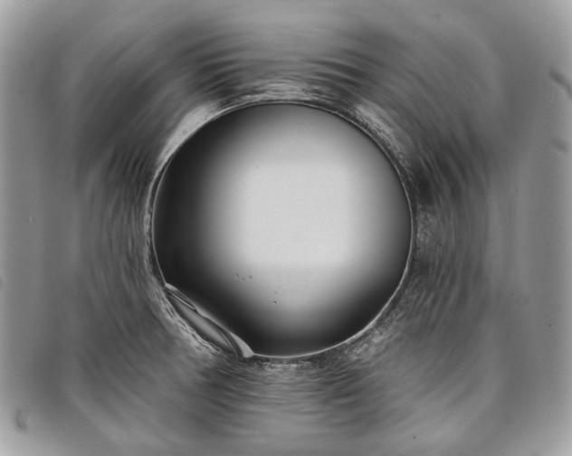 X0000098051378200804071456