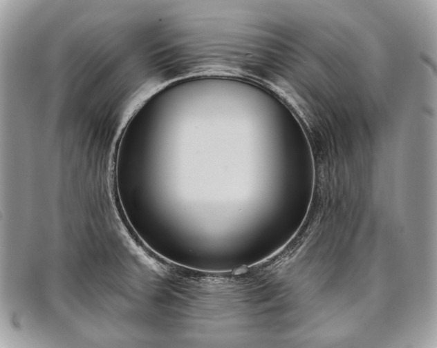 X0000098051379200804071456