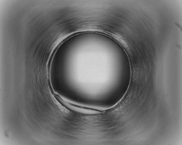 X0000098051380200804071456