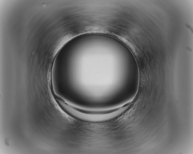 X0000098051383200804071456