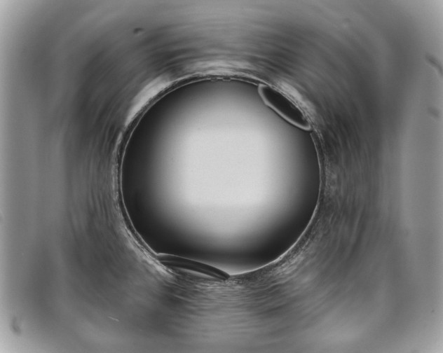 X0000098051384200804071456