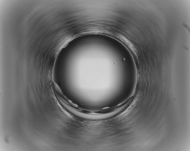 X0000098051385200804071456