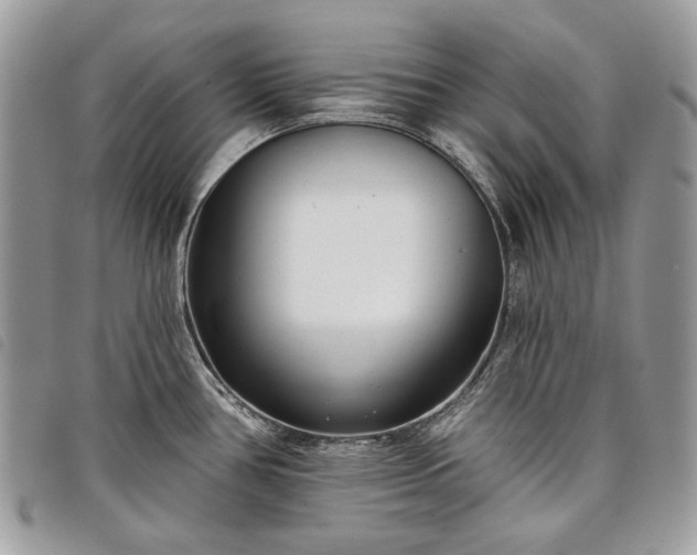 X0000098051386200804071456