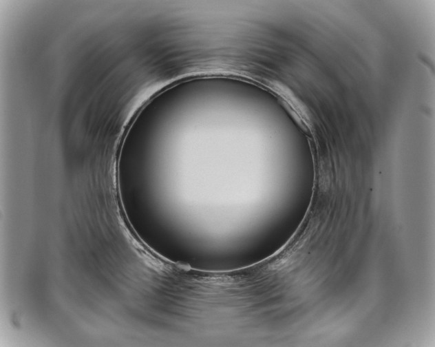 X0000098051388200804071456