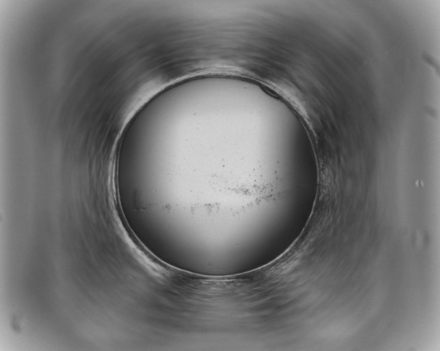 X0000098051391200804071456