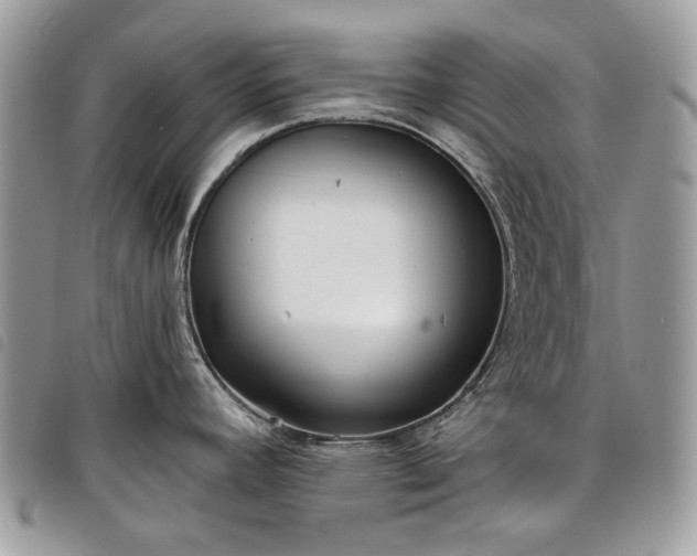 X0000098051392200804071456