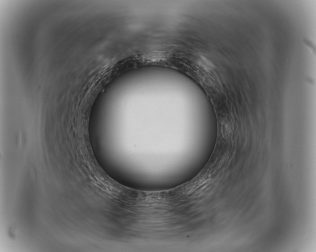 X0000098051393200804071455