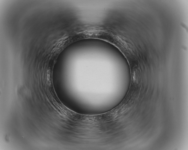 X0000098051396200804071455