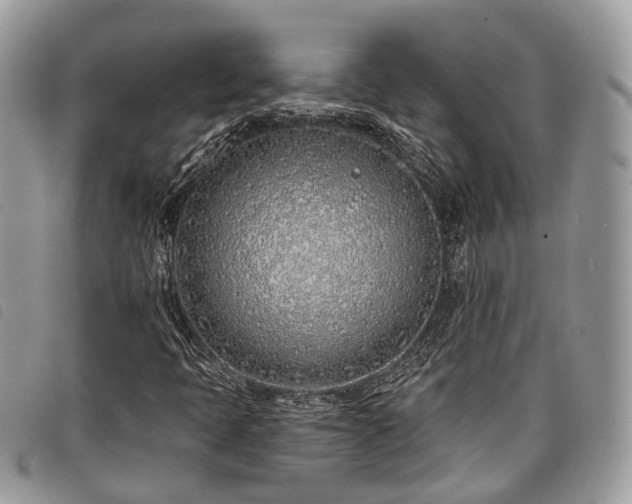 X0000098051397200804071455