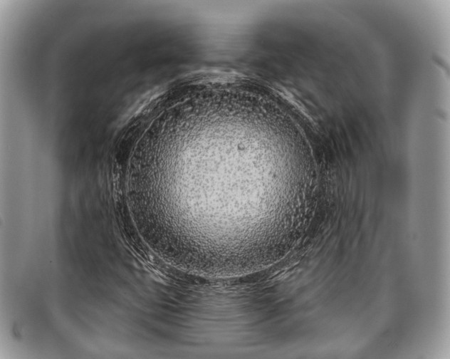 X0000098051399200804071455