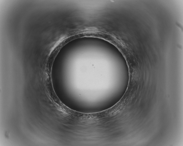 X0000098051400200804071455