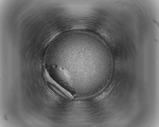X0000098051401200804071455