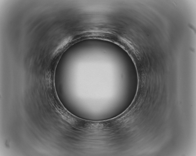 X0000098051403200804071456