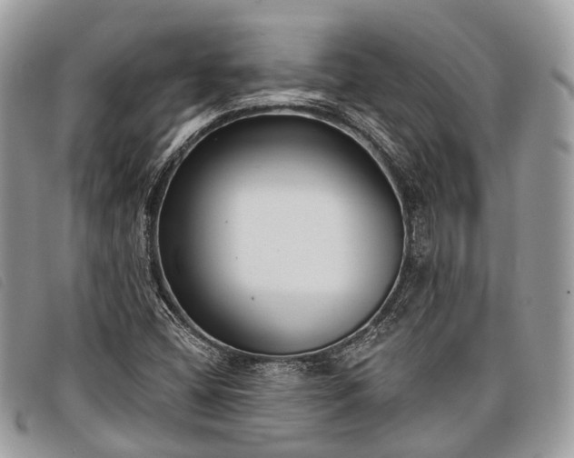 X0000098051404200804071456