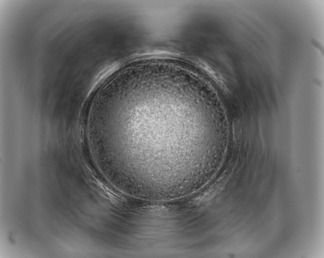 X0000098051405200804071456