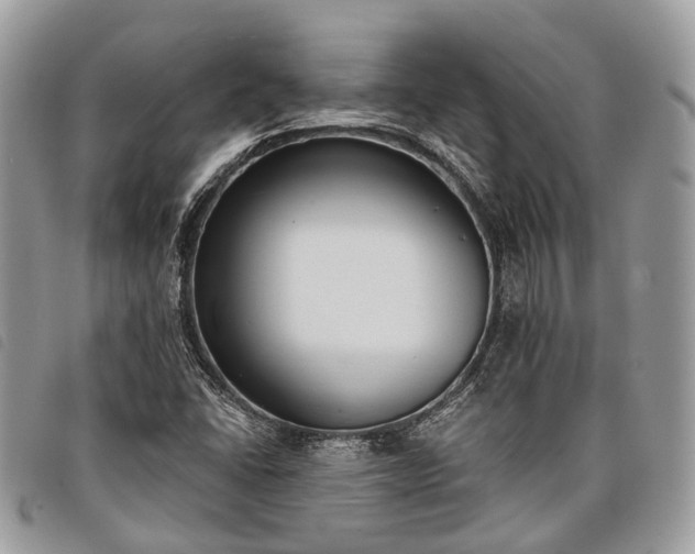 X0000098051406200804071456