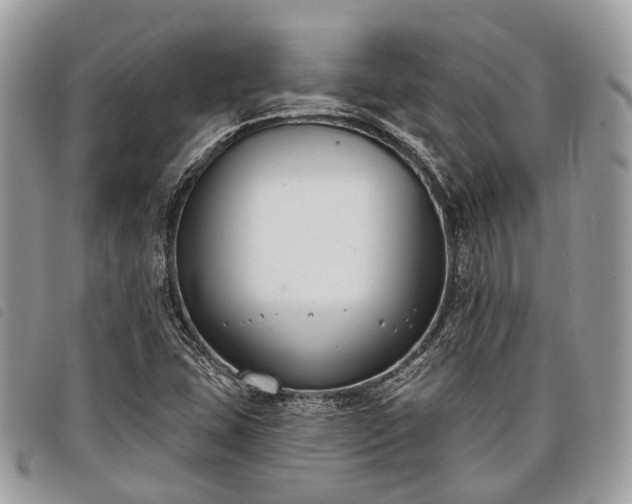 X0000098051407200804071456