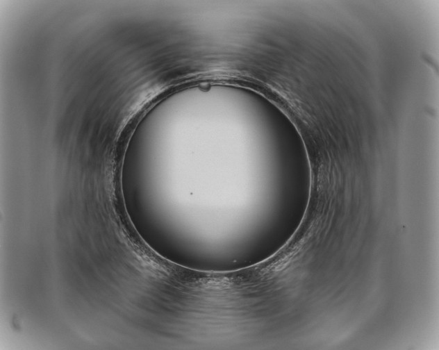 X0000098051410200804071456