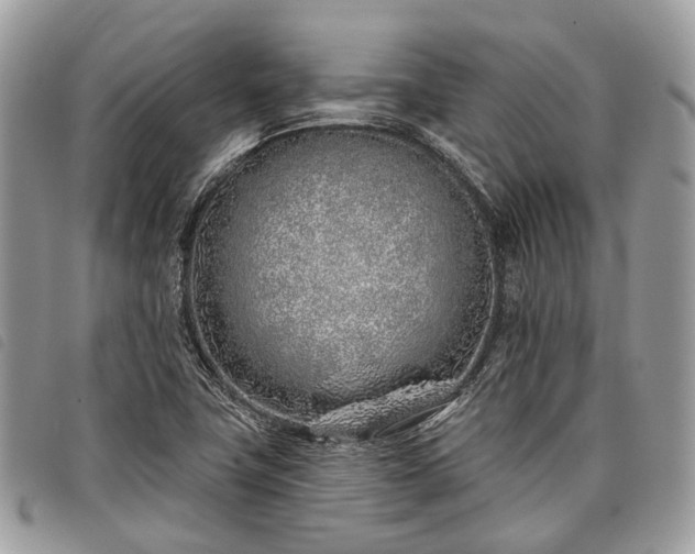 X0000098051411200804071456