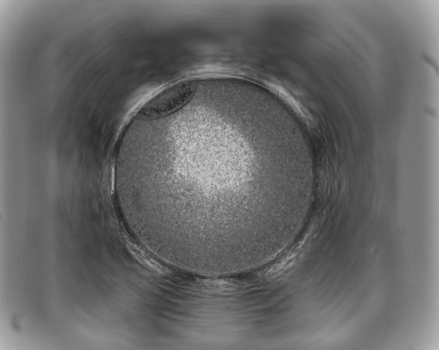 X0000098051413200804071456