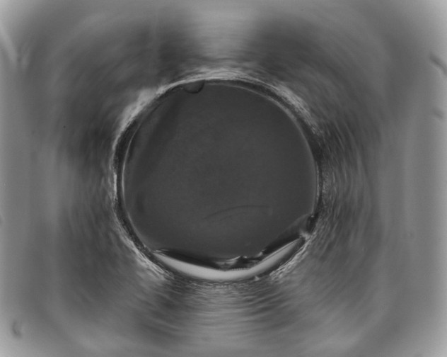 X0000098051414200804071456