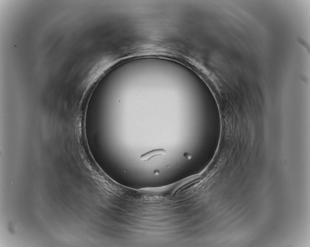 X0000098051415200804071456