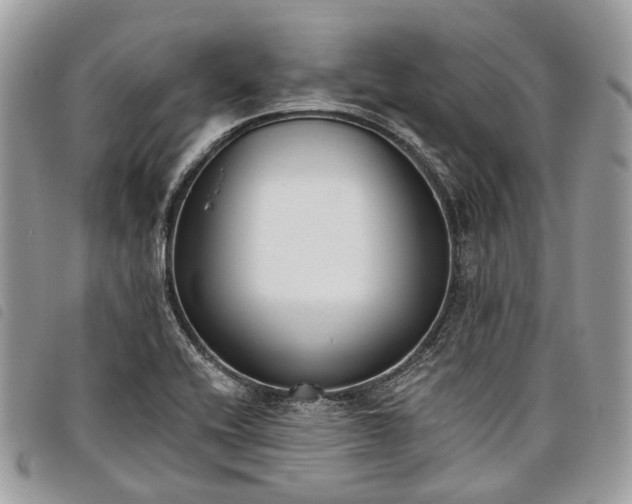 X0000098051416200804071456