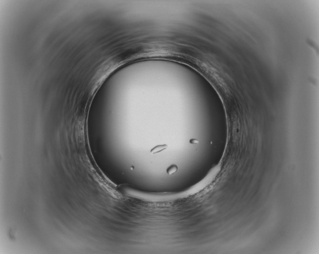 X0000098051417200804071456