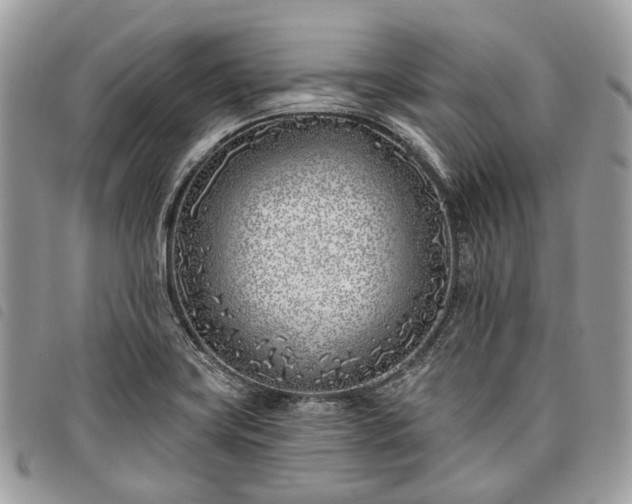 X0000098051419200804071456