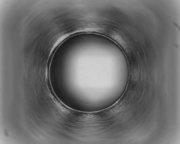 X0000098051420200804071456