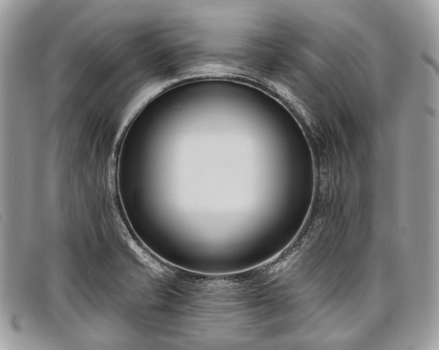 X0000098051421200804071456