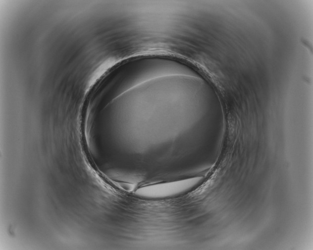 X0000098051422200804071456