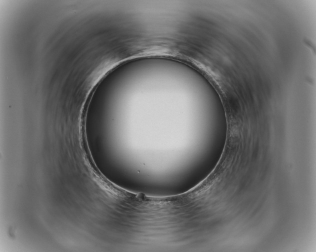 X0000098051423200804071456