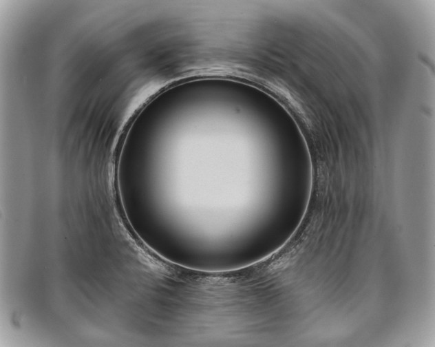 X0000098051424200804071456