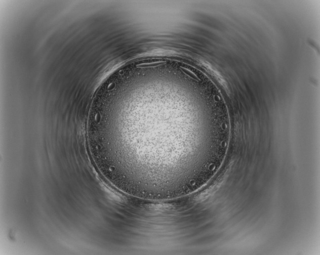 X0000098051425200804071456