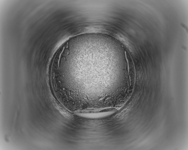 X0000098051427200804071456