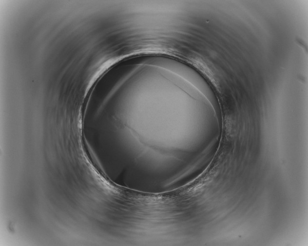 X0000098051428200804071456