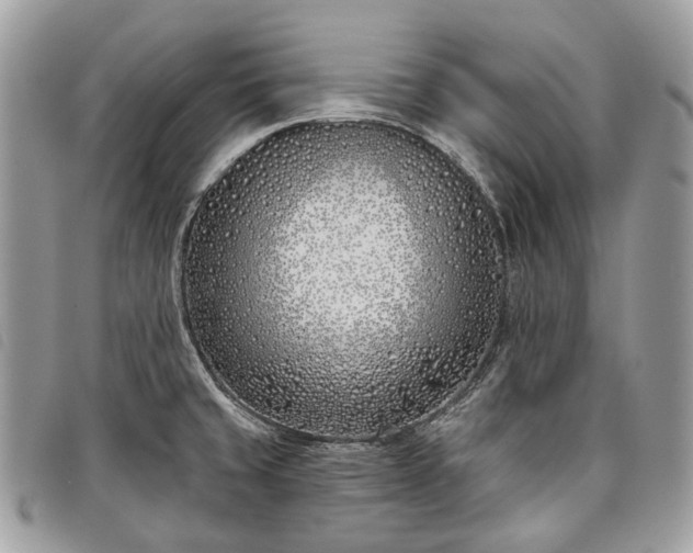 X0000098051429200804071456