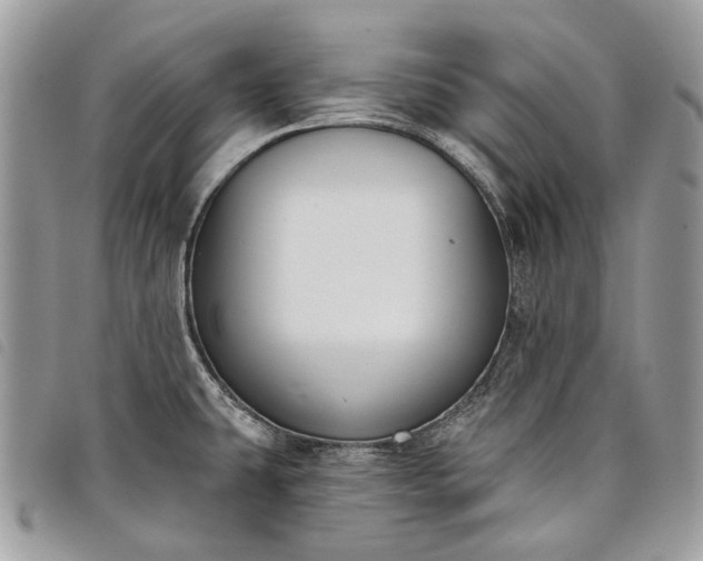 X0000098051431200804071456