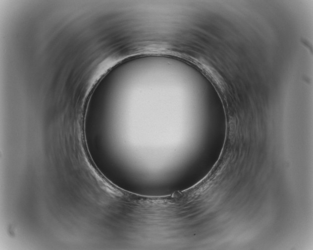 X0000098051432200804071456