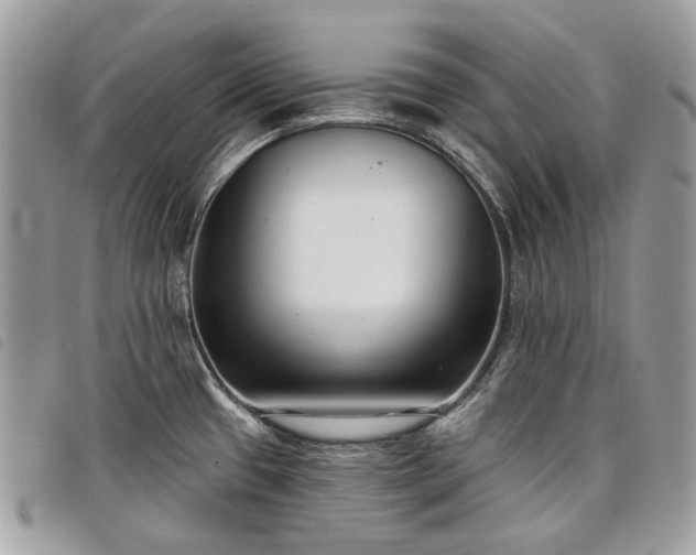 X0000098051433200804071456