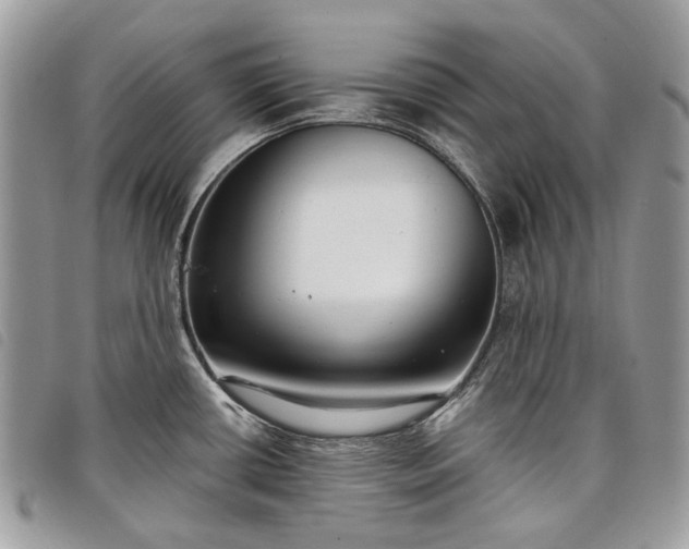 X0000098051434200804071456