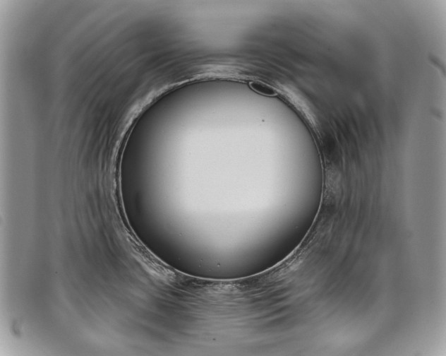 X0000098051435200804071456