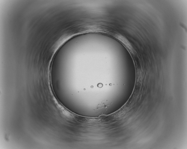 X0000098051439200804071456