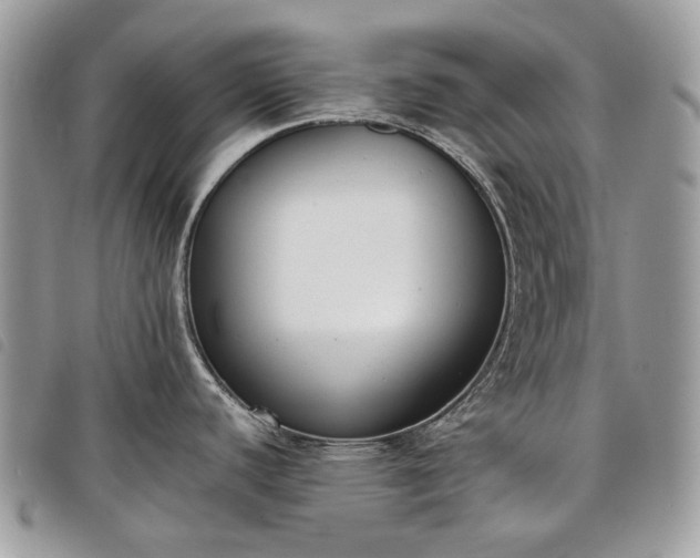 X0000098051440200804071456