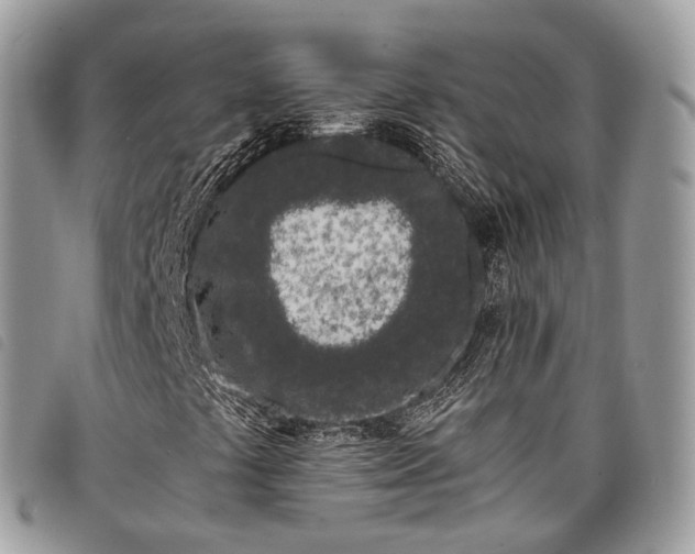 X0000098051441200804071455